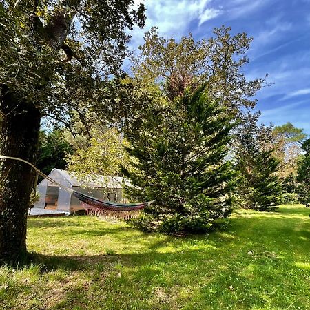 Cabane Au Milieu Des Pins - Domaine Temali Labouheyre Εξωτερικό φωτογραφία