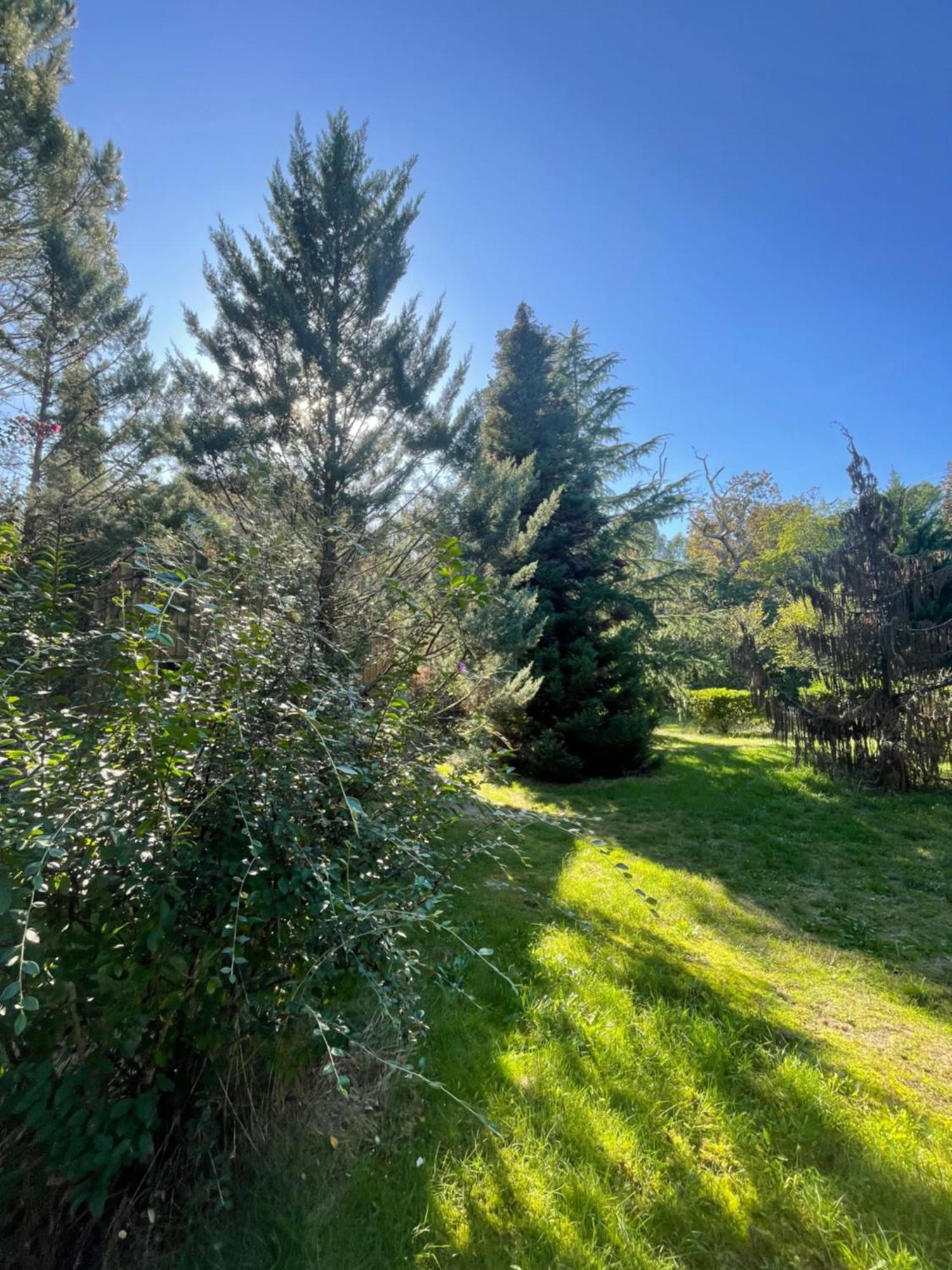 Cabane Au Milieu Des Pins - Domaine Temali Labouheyre Εξωτερικό φωτογραφία