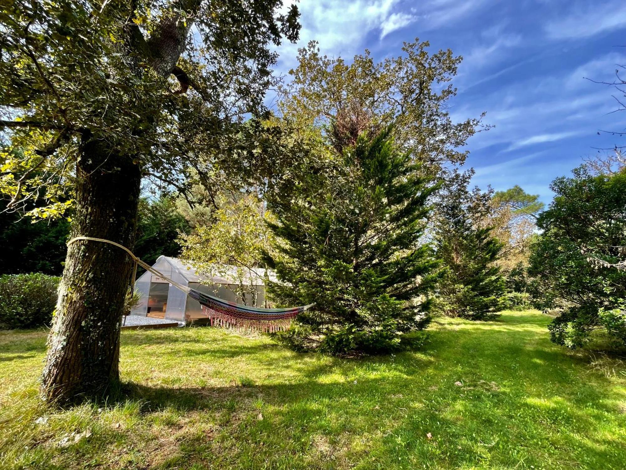 Cabane Au Milieu Des Pins - Domaine Temali Labouheyre Εξωτερικό φωτογραφία